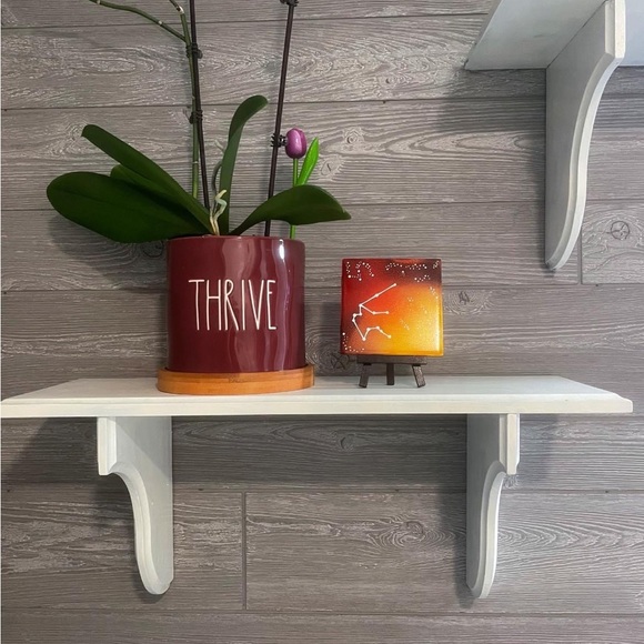 Posher Bio 🎨 - Picture 9 of 11